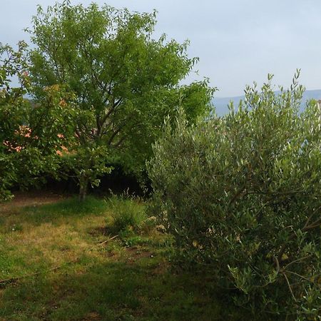 סנג' Apartments Antonio מראה חיצוני תמונה