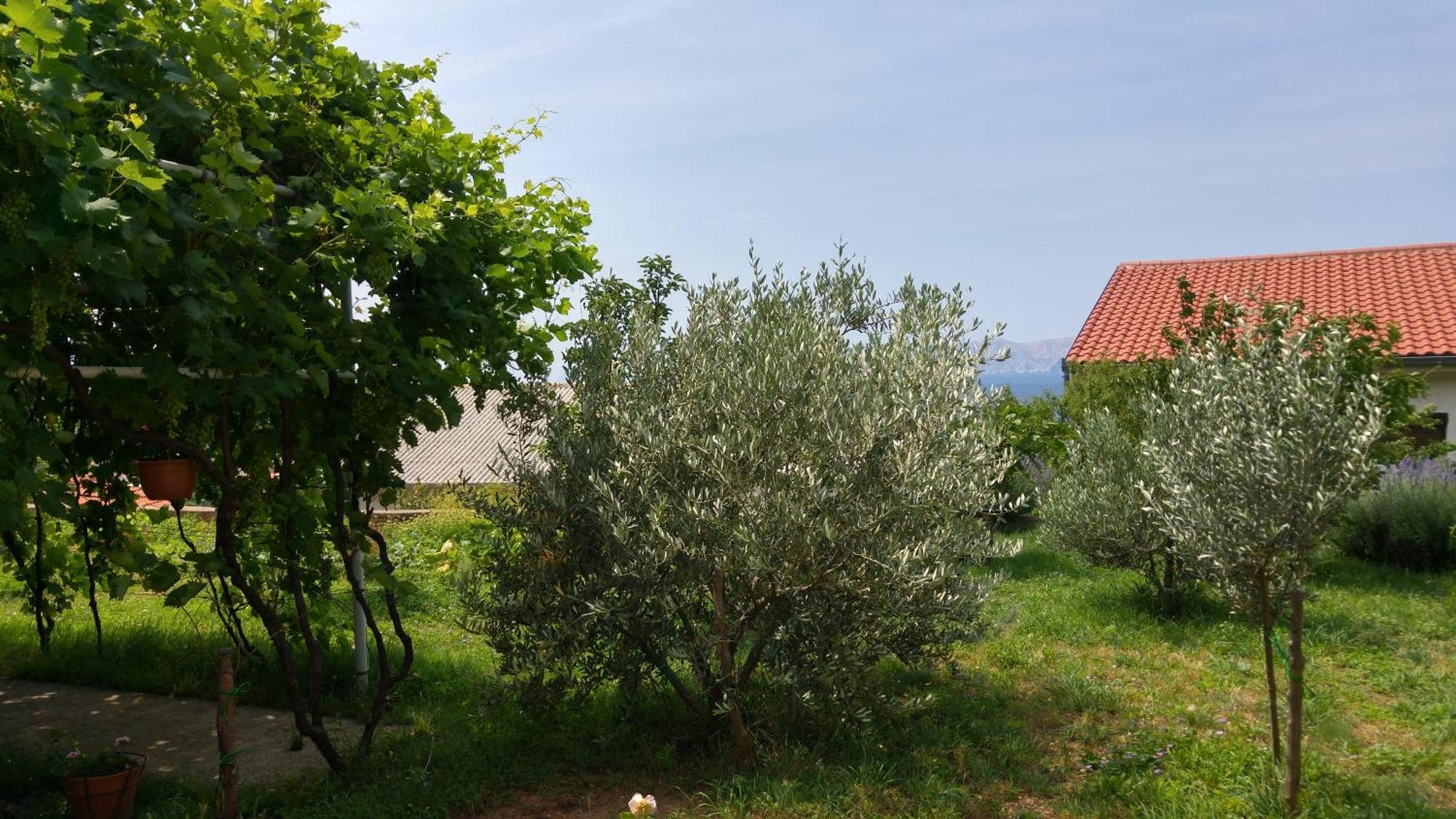 סנג' Apartments Antonio מראה חיצוני תמונה